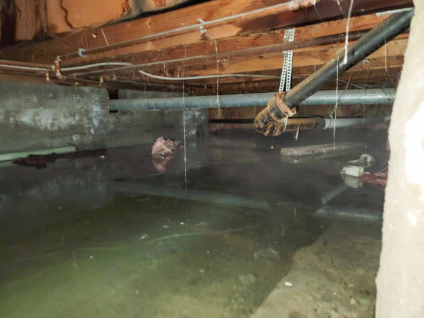 Best Local water damage restoration  in Lafayette, CA