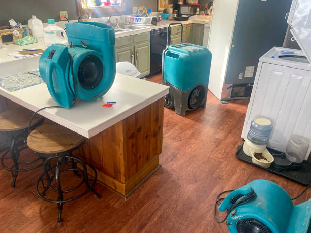 Best Water damage restoration insurance claims  in Lafayette, CA