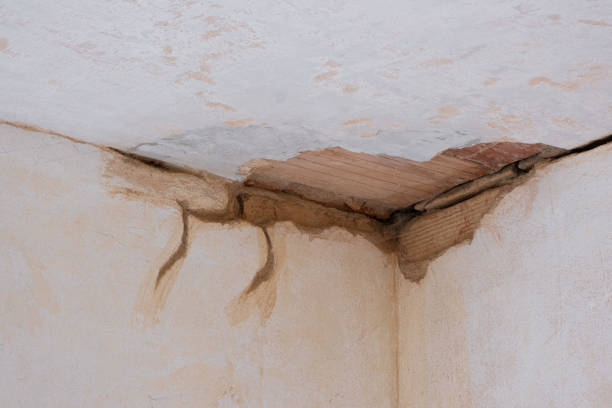 Best Water damage contractors near me  in Lafayette, CA