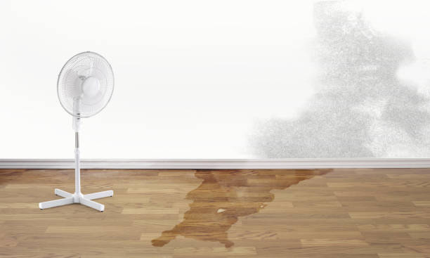 Best Professional water damage repair  in Lafayette, CA