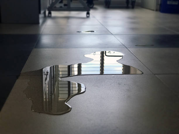 Best Water damage cleanup near me  in Lafayette, CA