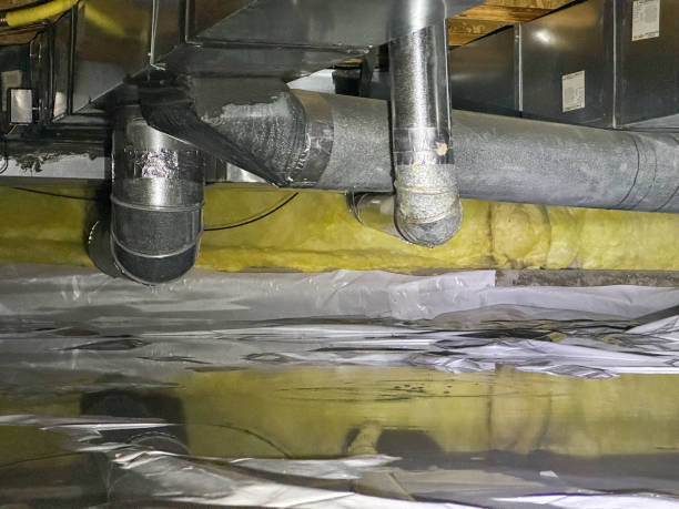 Best Carpet water damage restoration  in Lafayette, CA