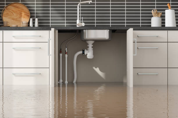 Best Fire Damage Restoration  in Lafayette, CA