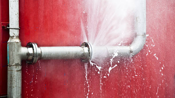 Best Flood damage cleanup  in Lafayette, CA